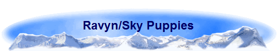 Ravyn/Sky Puppies
